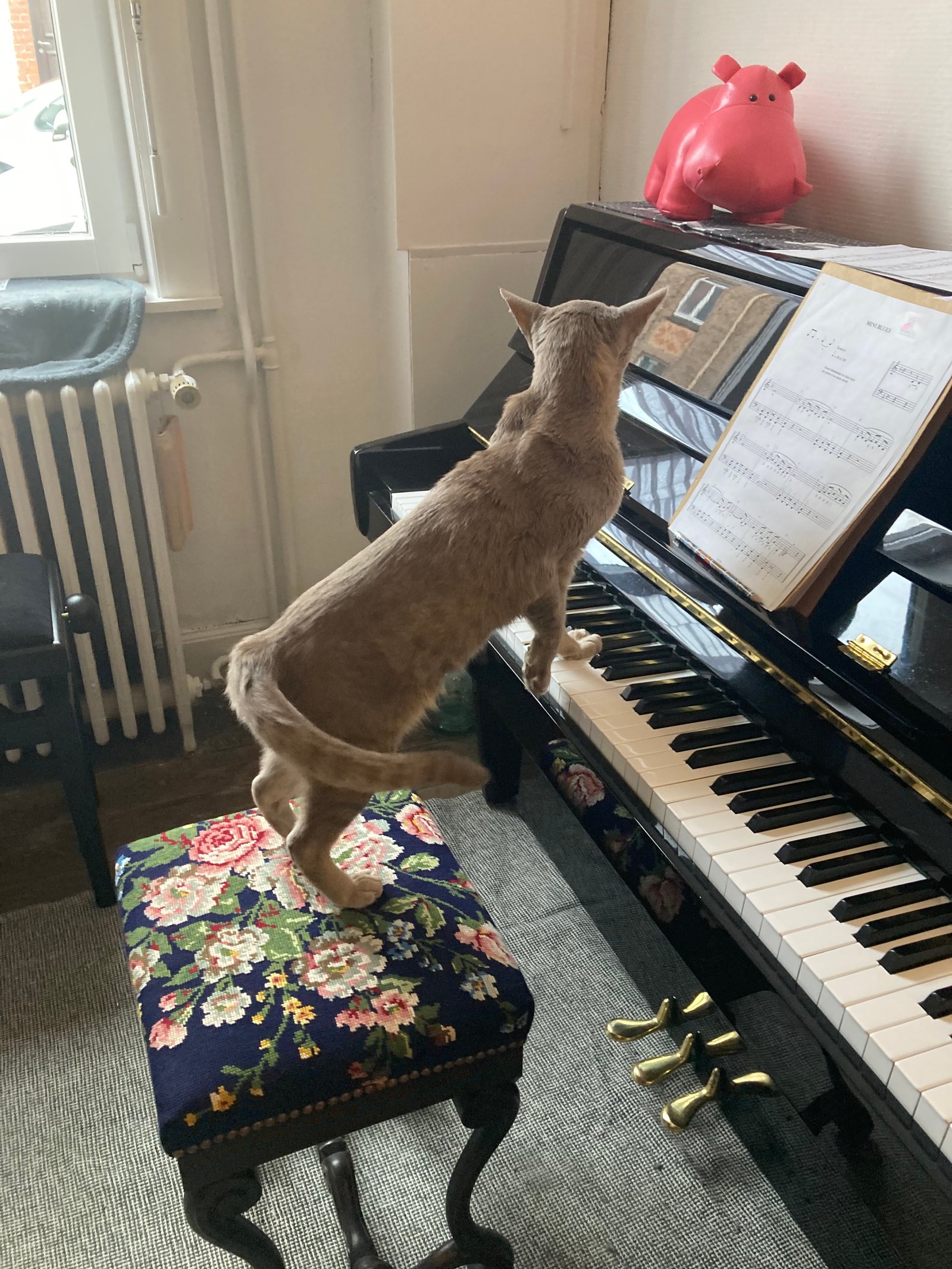 Cours de piano ouverts à tous